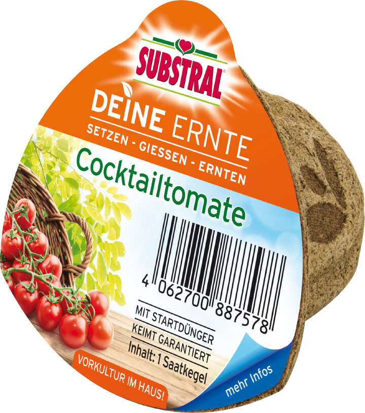 SUBSTRAL Deine Ernte Saatkegel Cocktailtomate